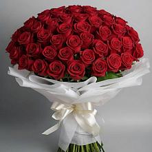 Букет 101 Красная роза Блэк Мэджик в Некрасовское