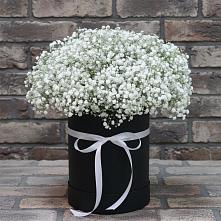 Цветочная композиция из Гипсофила в шляпной коробке #REPLACE_PRED# Некрасовское